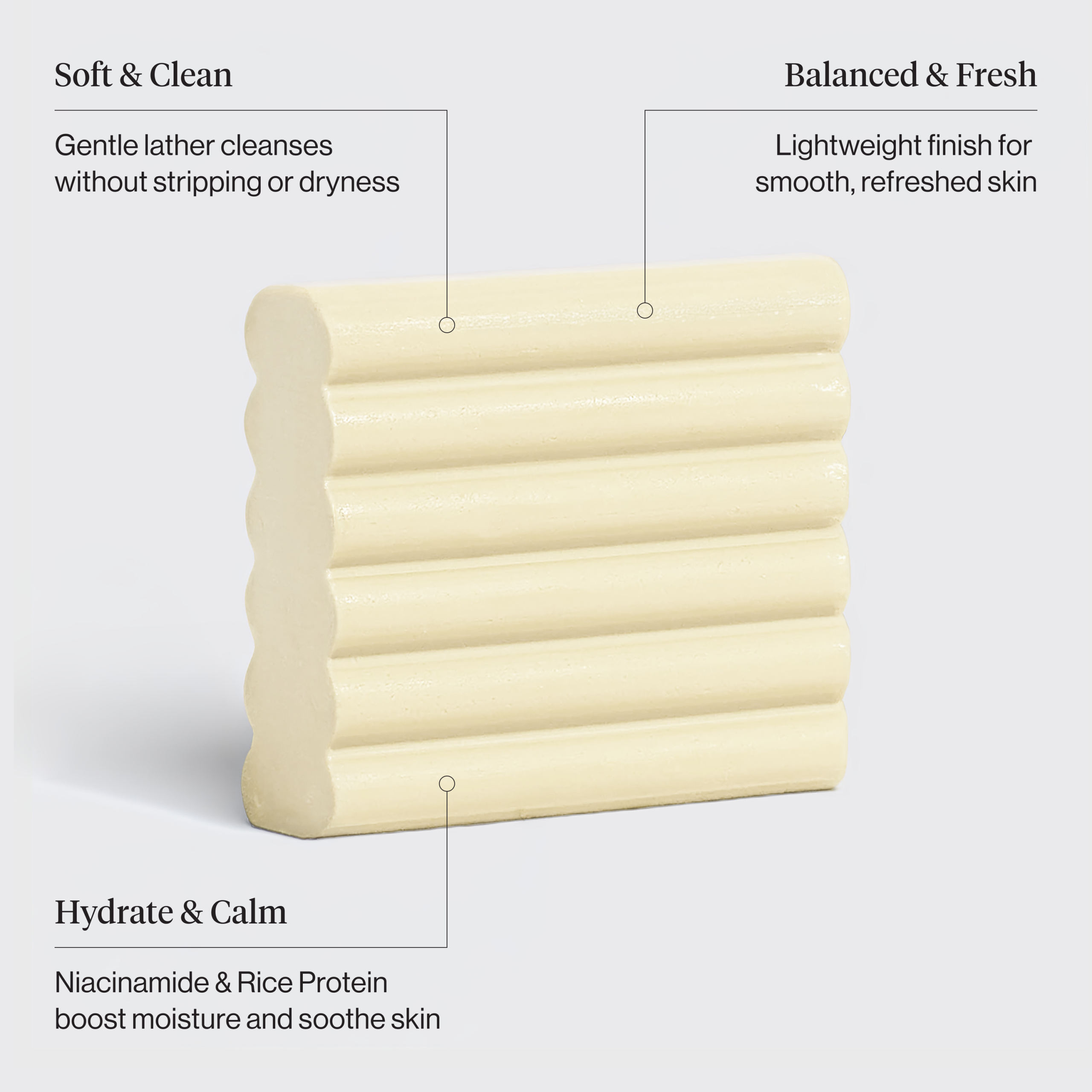506302_Rice_Water_Protein_Face_Body_Wash_Bar_Infographic.png